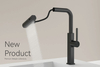 Flying Rain Black Kitchen Faucet KF03037-MB
