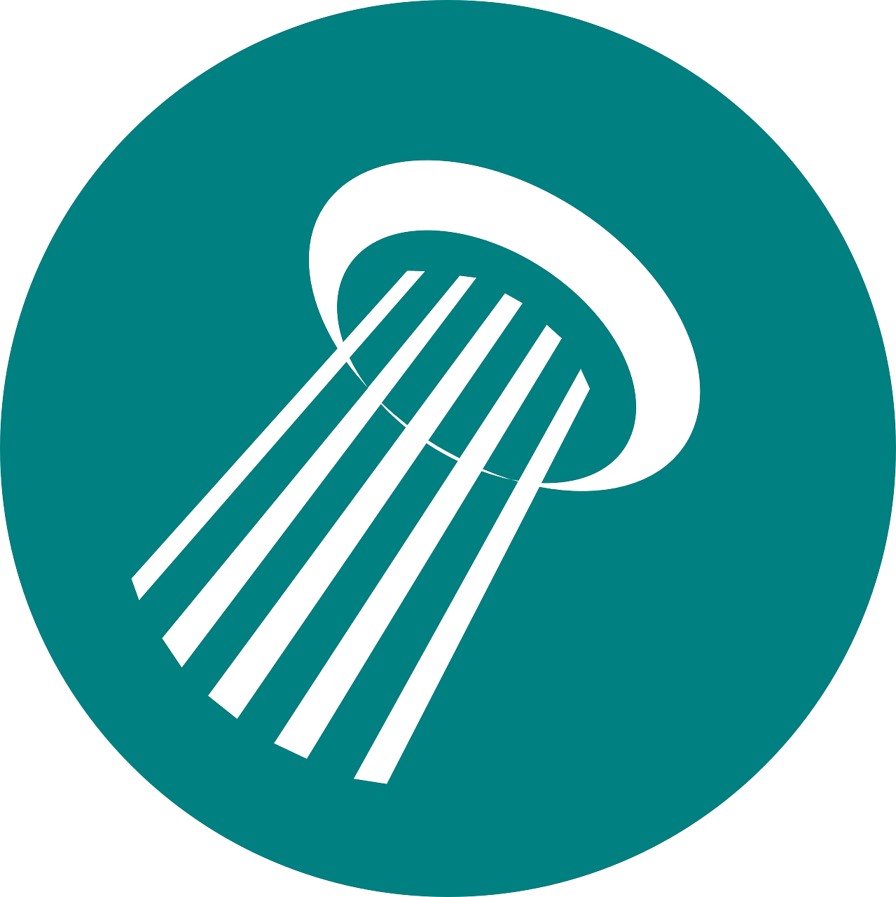 نظام دش النيكل المصقول