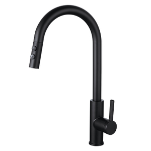 sly matte Black Hot Hot Sink Sink Water Tap Hose Down Kitchen Faucet