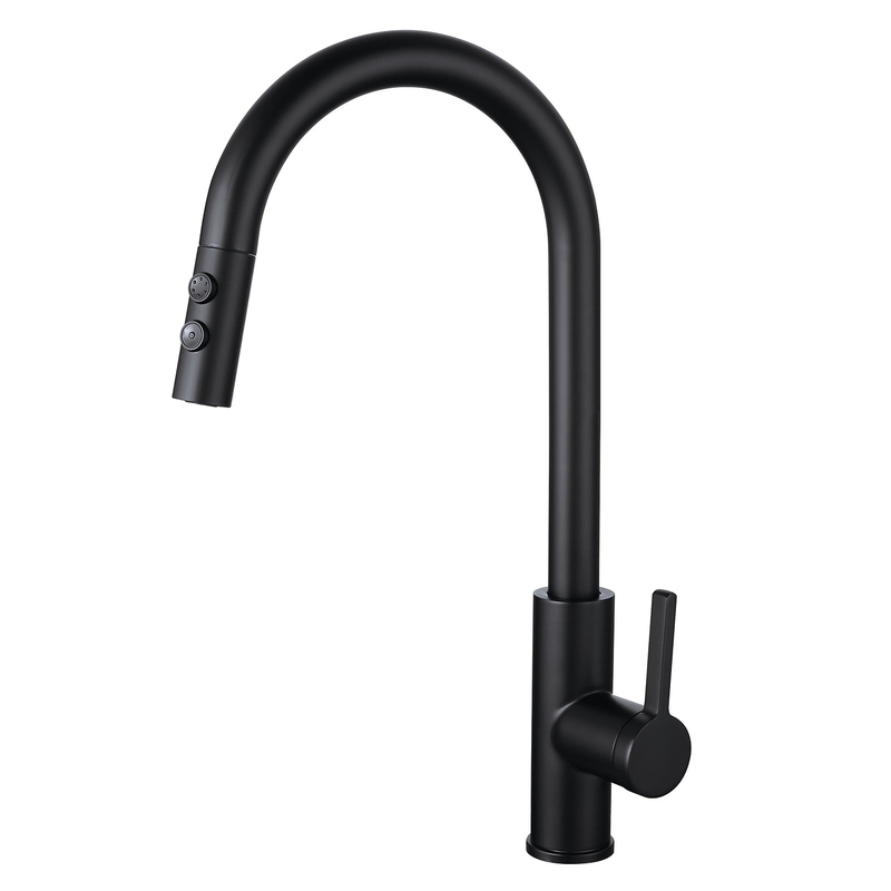 sly matte Black Hot Hot Sink Sink Water Tap Hose Down Kitchen Faucet