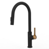 Sly Chrome Sink Faucet مع جدار البخاخ جبل جبل سحب صنبور المطبخ
