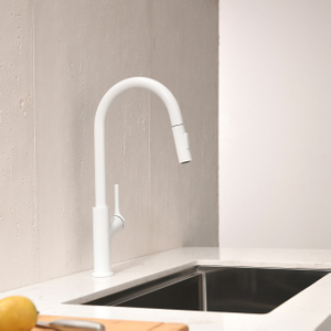 Sly Chrome Sink Faucet مع جدار البخاخ جبل جبل سحب صنبور المطبخ