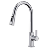 Sly Chrome China Basin Mixer Taps Kitchen Faucet مع سحب لأسفل