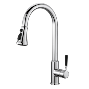 Sly Modern Chrome Spring Faucet وظيفة مزدوجة