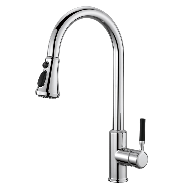 Sly Modern Chrome Spring Faucet وظيفة مزدوجة