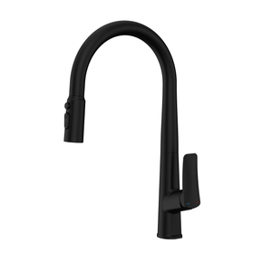 Sly Factory Wholesale Chrome Plater Sink Sink Act Out Out Kitchen Faucet Parifier Faucet
